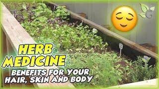 New HERB SERIES - Medicines Ayurveda Plants and more