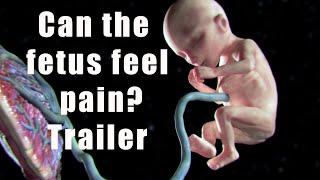 Can the fetus pain? trailer
