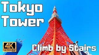 【4K Japan Walk】Tokyo Tower - Tokyo. Climb by 600 steps of stairs to a 1st observatory deck.