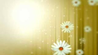 Valsa das FloresTchaikovsky-Waltz of the Flowers.wmv