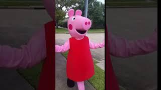hire a cartoon character for a birthday party houston pig peppa mascot costumed 2