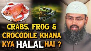Crabs Frog & Crocodile Khana Kya Halal Hai ? By Adv. Faiz Syed