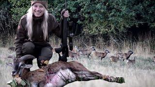 Erstes Jagdvideo Jagd auf Muffelwild Jagen mit Jungjägering Erster Abschuss und dann sowas Jagd