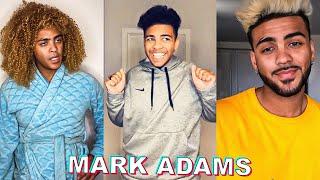 *NEW* MARK ADAMS SHORTS COMPILATION #8  Funny Marrk Adams TikToks