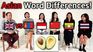 British Translator Shocked By Asian Word Differences Thailand Mongolia Indonesia China Myanmar