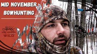 CRAZY RUT  MI Bowhunting  COLD Front
