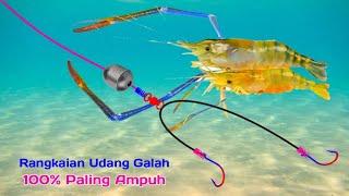 Cara Membuat Rangkaian Pancing Udang Galah 2 Kail