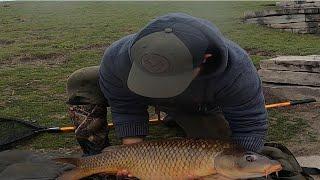 PESCA DE CARPAS  CASI SE LLEVA MI CANA CARP FISHING