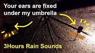 Its raining on your umbrella  Rain sounds for sleeping 빗소리 Rain Walk DEC 2021 ASMR