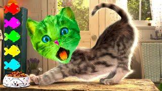 LITTLE KITTEN ADVENTURE - FUNNY PET GAME AND CARTOON KITTEN CARE VIDEO