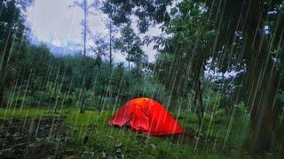 SOLO CAMPING - ASMR RAIN IN THE MORNING - BATH IN THE RIVER - FRIED SWEET