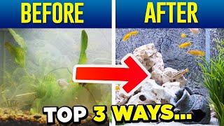 Crystal Clear Aquarium Water - Top 3 Tips SIMPLE