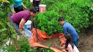 Fish Pond Renovation Fish Harvesting and Selling Lunch with Daughter  Family Farm