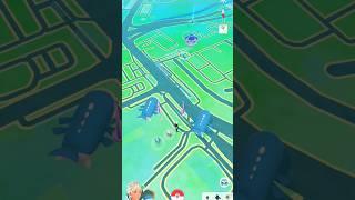 Wild Wailord Appears? Pokemon Go #pokemongo #pokemon #ポケモン