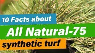 10 Facts About Best Selling Artificial Grass All Natural 75