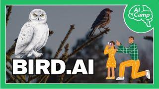 BirdAI A New Eye for Birdwatching Enthusiasts  AI Camp 2023