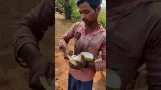 NARIYAL PAANI PEELO FRNDZZZZ  DIBU & SUBU VLOGS  COCONUT WATER  #odisha #coconut #shorts