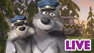 ماشا والدب ‍️ LIVE STREAM  قصص يوم الأحد  Masha and the Bear