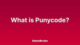 What is the meaning of Punycode? Audio Explainer