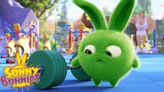 Hoppers Workout  Sunny Bunnies  Cartoons for Kids  WildBrain Blast