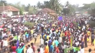 Dasanapuram 2019bull festivalmass runningjallikattu