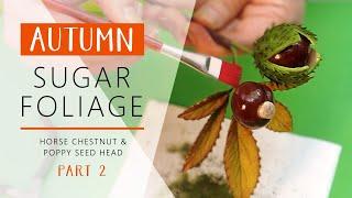 Autumn Sugar Foliage  Horse Chestnut & Poppy Seed Head - Part 2