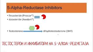 ТЕСТОСТЕРОН ИНХИБИТОРИ НА 5-АЛФА-РЕДУКТАЗА И ПРОСТАТА