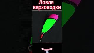 Ловля уклейки