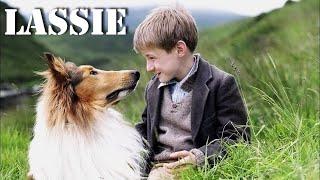 Lassie   pelicula completa en español latino 