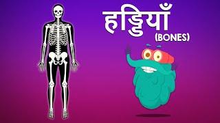 बोन्स  हड्डियाँ  Bones In Hindi  Dr.Binocs Show  Educational Video For Kids  Binocs Ki Duniya