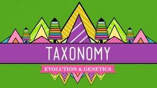 Taxonomy Lifes Filing System - Crash Course Biology #19