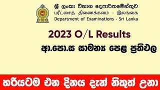 ol results release date  ol results හරියටම එන දිනය  20222023 ol results  SL Academy