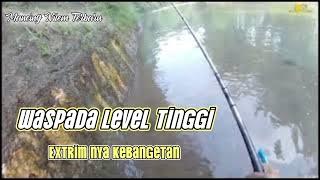 Bikin Ga Tenang Mancing Nilem Di Sini