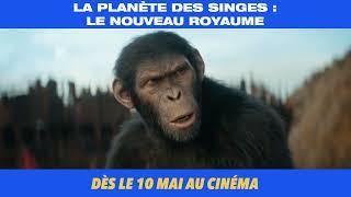 LA PLANÈTE DES SINGES  LE NOUVEAU ROYAUME - DÈS LE 10 MAI DANS LES SALLES DE CINÉMA EN AFRIQUE