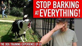 How to Train Your Dog to STOP BARKING at EVERYTHING That Moves