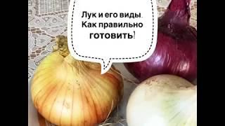 Лук и как правильно его готовить