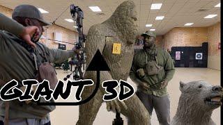 Epic Indoor 3D archery range