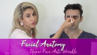 Injectors Anatomy for Upper Face Anti-Wrinkle  14 THE FACIAL ASSESSMENT