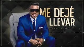 Luis Miguel Del Amargue - Me Deje Llevar  Audio Oficial 