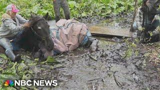 Dozens rush to Connecticut farm to help horses stuck in mud