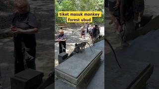 tiket masuk monkey forest ubud #bali #indonesia #ytshorts