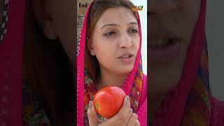 Ghraeeb Sabzi Wala Aur Ameer Larki#end#Shorts#funny#viral#foryou#training#shorts#chaltv