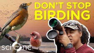 Calling all birders Scientists need your help  Sci NC  PBS North Carolina