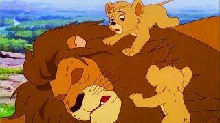 Simba Lion King  سيمبا كينغ ليون  الحلقة 1  حلقة كاملة  الرسوم المتحركة للأطفال  اللغة العربية