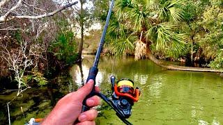 ULTRA CLEAR Florida CREEK Fishing Amazing Water