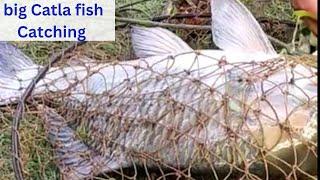 Amazing big Catla fish Catching Video বড় কাতল মাছের অবিশ্বাস্য টানের লড়াই