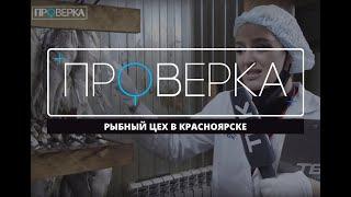 «Проверка» ТВК рыбный цех в Красноярске