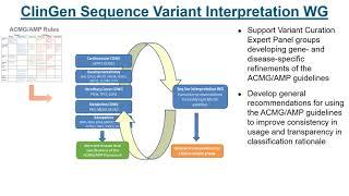 Presentation - Variant Classification using ACMGAMP Guidelines Steven Harrison