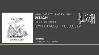 Birds Of Mind - Flying Through The Souls El Mundo Remix #underyourskin #elmundo #birdsofmind