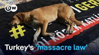 Turkey Parliament passes law to remove millions of stray dogs  DW News